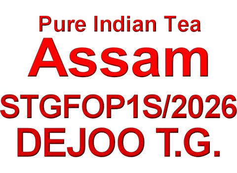 ADjoSF262