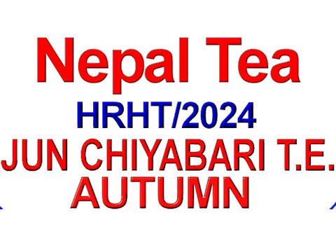 PJcbHR24A