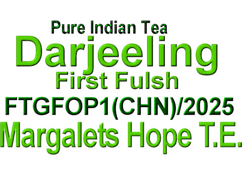 DMgtFT251