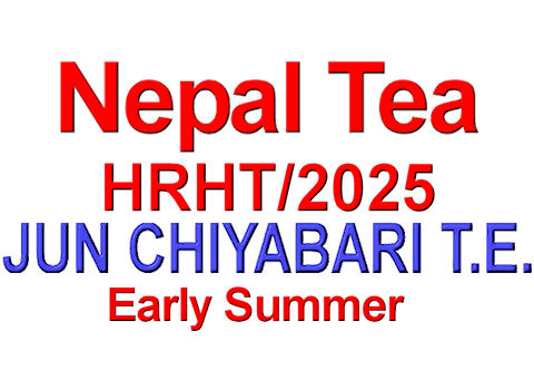 PJcbHR252