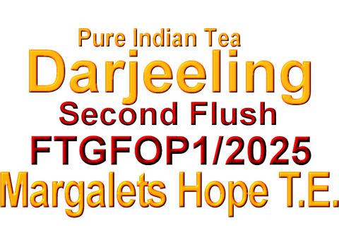 DMgtFT252