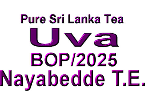 UNybBO25N
