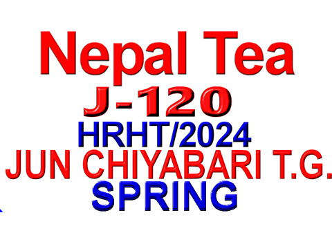 PJcbHR261-0