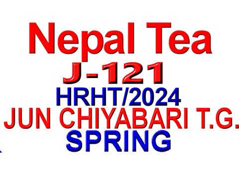 PJcbHR261-1