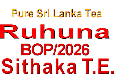 RStkBO26N