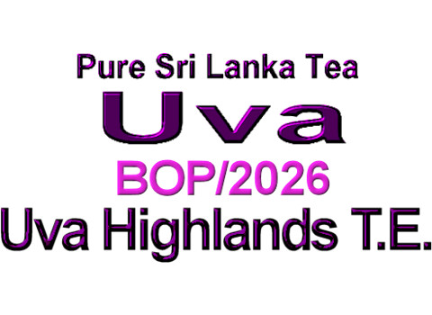 UUvhBO26N